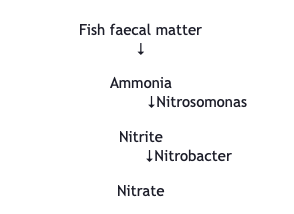 nitrate in fish tank