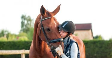 health problems in horses